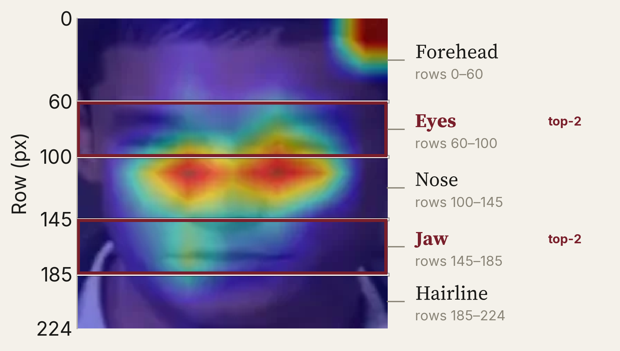 Facial zone segmentation showing forehead, eyes, nose, jaw, and hairline regions with heatmap activation